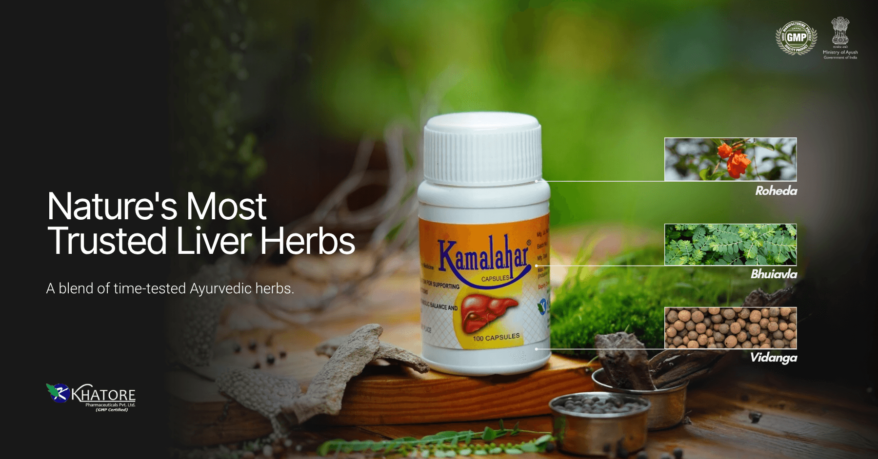 Nature's most trusted liver herbs — a blend of time-tested Ayurvedic herbs: Roheda, Bhuiavla, Vidanga