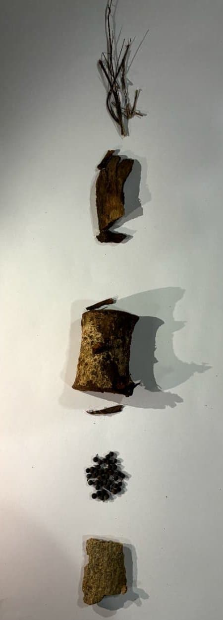 Five dried raw herbal ingredients laid out in a vertical line on a white surface